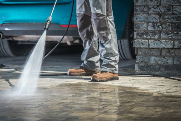 Best Boat and Dock Cleaning  in Fern Park, FL